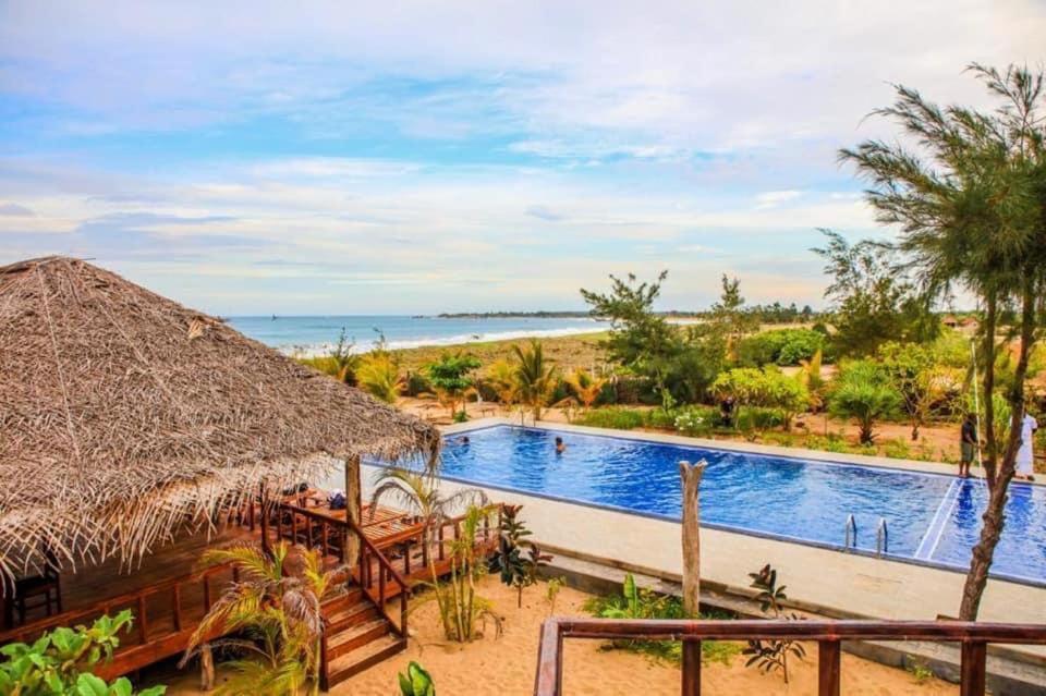 Whisky Point Surf Cabana Аругам-Бей Екстер'єр фото